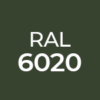 Ral-6020